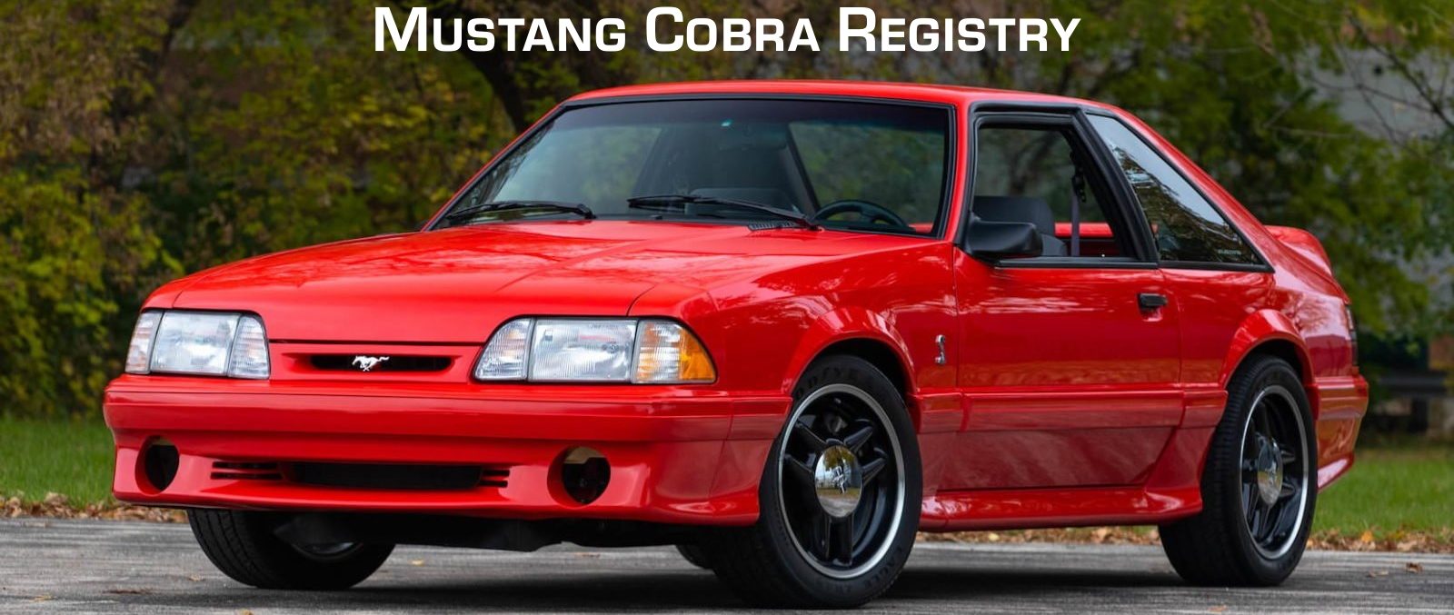 1993 Mustang Cobra Registry